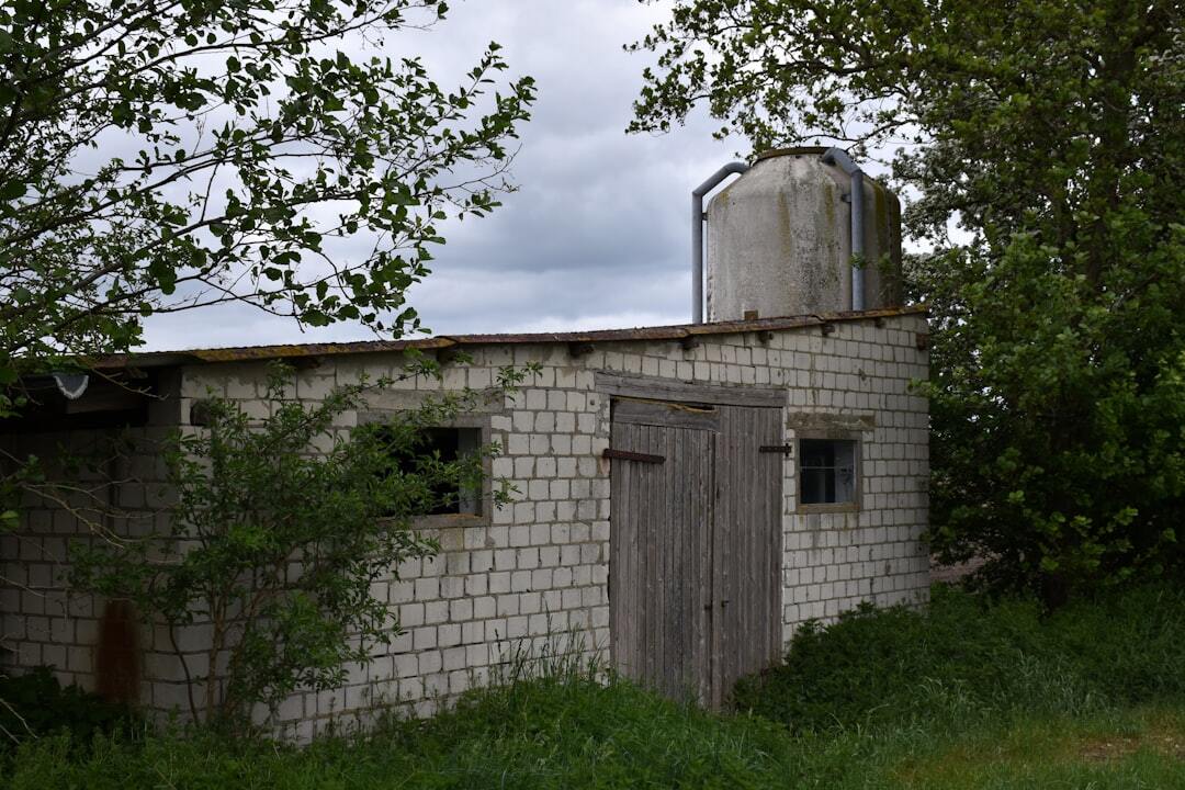 Feed img Cainhoyfeed